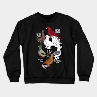 Pigeon Breeds King Pigeon Lover Men Pigeons Crewneck Sweatshirt